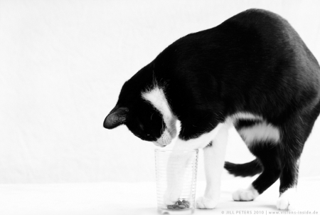 20100501_d200_7132