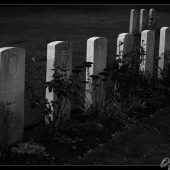 warcemetary-002(C).jpg