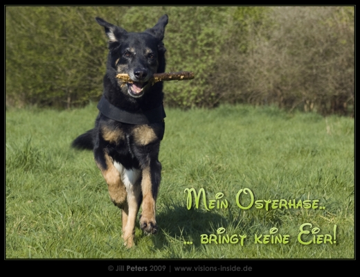 ostern2-vi.jpg