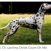 Lacrima-Christi-Count-on-Me_web