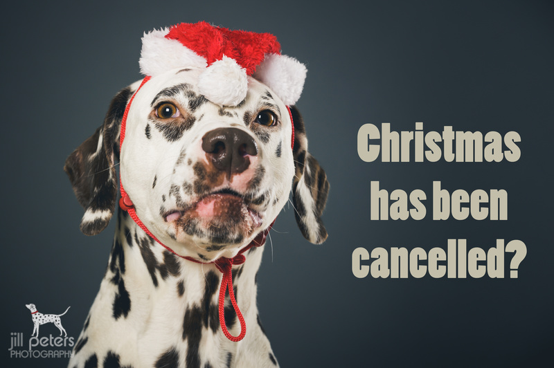 Christmas has been cancelled!