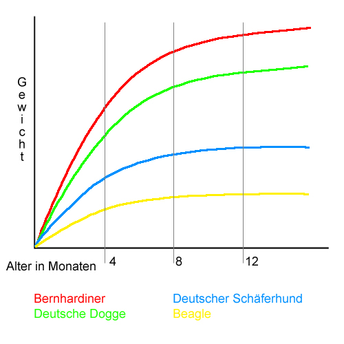 junghundwachstum-1