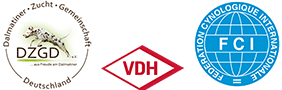 DZGD e.V. / VDH / F.C.I.